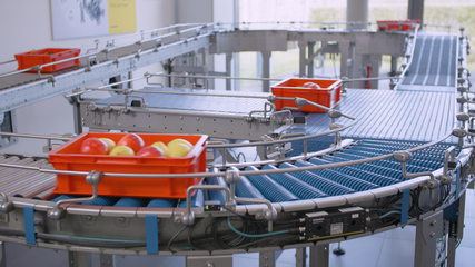 Five overlooked food production Issues that quietly disrupt your packaging process
