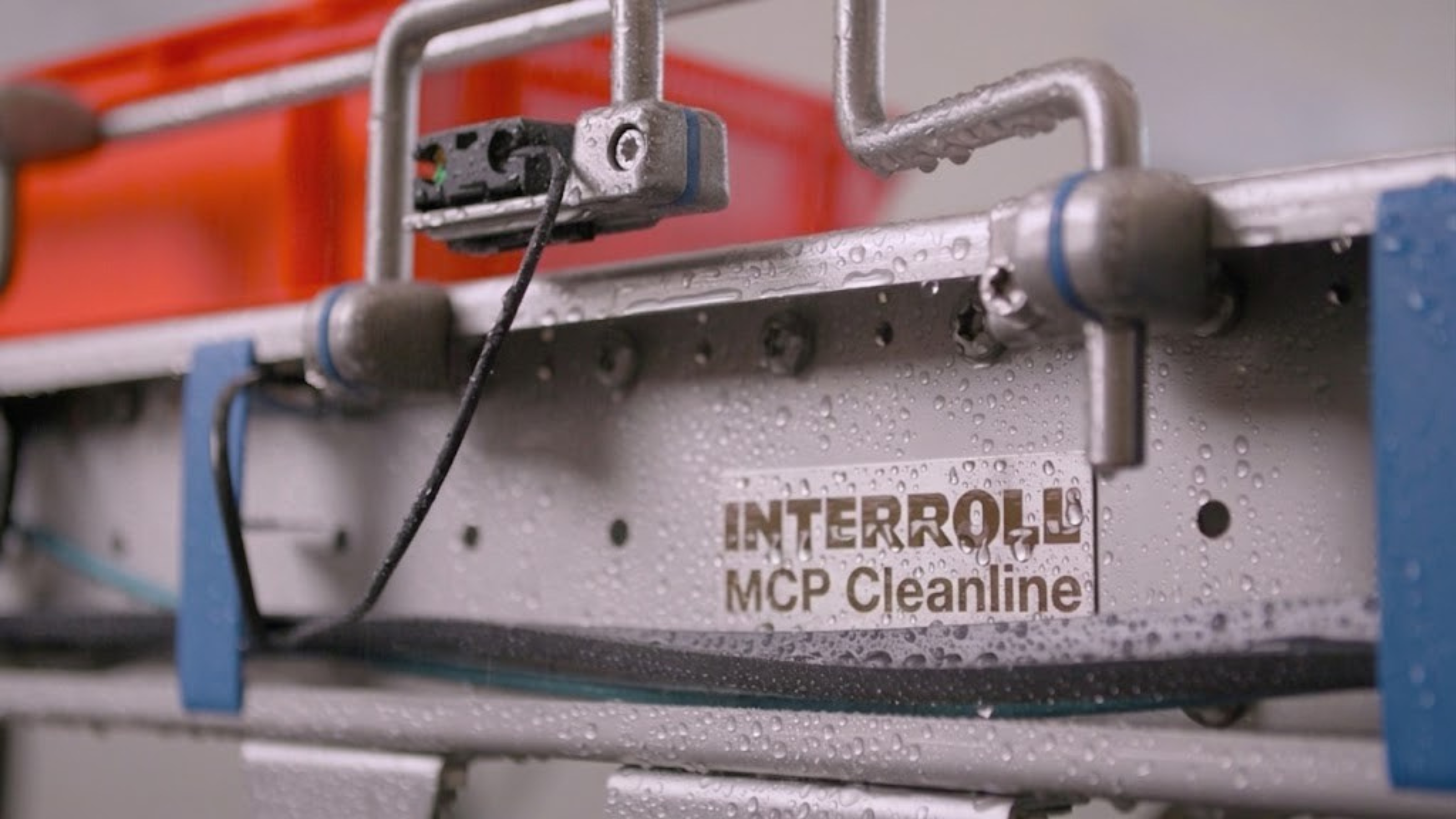 Which Manufacturers Offer Reliable Conveying and Sorting Systems for Food Processing Facilities?